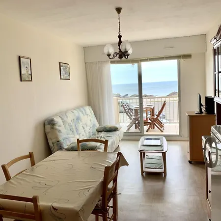 شقة 4 Pers, Face Ocean, Animaux Admis, Parking, Wifi - Fr-1-843-58