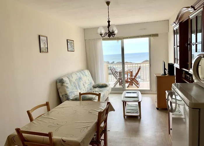 Lägenhet 4 Pers, Face Ocean, Animaux Admis, Parking, Wifi - Fr-1-843-58