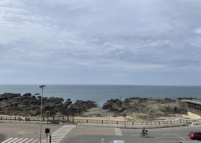 Lägenhet 4 Pers, Face Ocean, Animaux Admis, Parking, Wifi - Fr-1-843-58 *